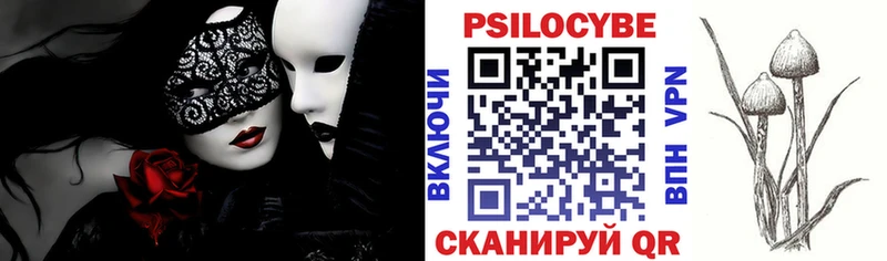 omg ссылка  Пущино  Галлюциногенные грибы Psilocybine cubensis 